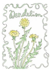 Paardenbloem door june art