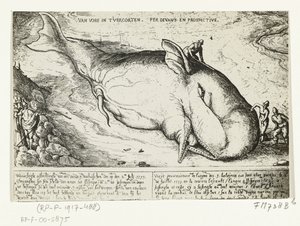 Prent van de aangespoelde walvis bij Antwerpen, 2 juli 1577 door A.B. van Deinse