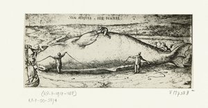 Prent van de aangespoelde walvis bij Antwerpen, 2 juli 1577 door A.B. van Deinse