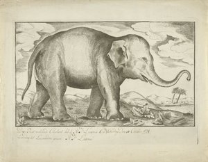 Olifant