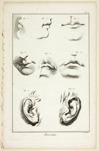 Ontwerp: Gezichtsanatomie uit Encyclopédie door A. J. Defehrt