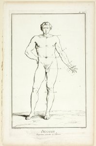 Ontwerp: Algemene Verhoudingen van de Man, uit Encyclopédie door A. J. Defehrt