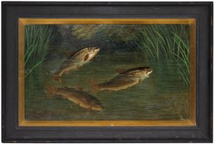 Forel in een rivier
