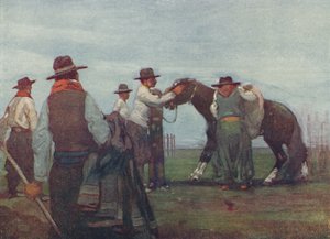 Gauchos temmen een jong paard, 1916