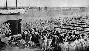 Hoeveelheden kabeljauw die in de zon drogen in Aveiro bij de monding van de Vouga, Portugal, c1930s door A. W. Cutler