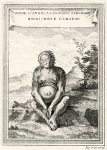 Illustratie van de Orang-Oetang gepresenteerd aan Frederik Hendrik, Prins van Oranje, 1750 door Abbé Prévost