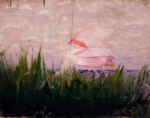 Roseate lepelaar, studie voor boek Concealing Coloration in the Animal Kingdom door Abbott Handerson Thayer