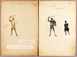 Tattooing-Single Warrior, studiemap voor boek Concealing Coloration in the Animal Kingdom