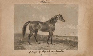 Aliwal, het eigendom van Sir Harry Smith, Bart door Abraham (after) Cooper