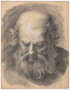 Studie van het hoofd van een bebaarde man door Abraham Bloemaert