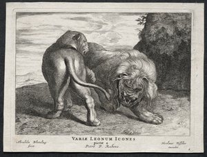 Verschillende leeuwen door Abraham Blooteling