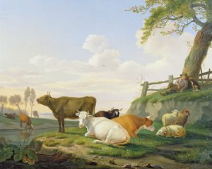 Koeien en herder