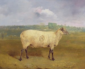 Een Prijs Ooi met monogram 