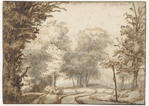 Weg door het bos door Abraham Furnerius