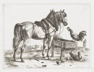 Paard bij een voederbak