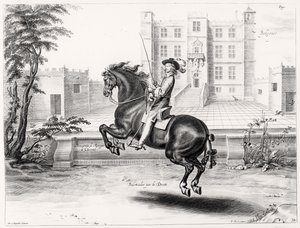 Illustratie uit een Rijhandboek, gegraveerd door Peeter Clouwet (1629-70), 1658 door Abraham Jansz. van after Diepenbeeck