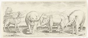 Gazelle, olifant en neushoorn Dieren (serie titel)