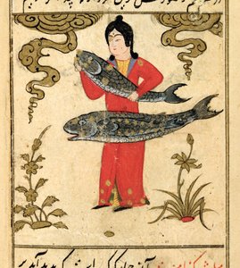 Sterrenbeelden van de Dierenriem: Vissen, de Vis, uit Talim dar marifat i taqvuim