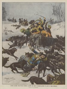 Huwelijksstoet in Aziatisch Rusland aangevallen door wolven, vrouwen aan de hongerige wolven gevoerd