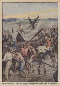 Hevige storm in de Straat van Messina die een enorme haai aan land bracht, later gedood met roeispanen