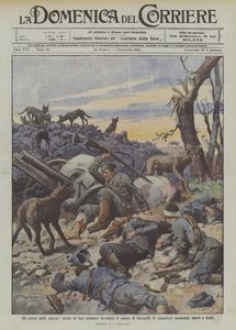 De verschrikkingen van de oorlog, hongerige wolven zwermen over het slagveld van Augustow en vallen doden en gewonden aan