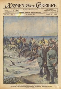 De koning in Sardinië door Achille Beltrame