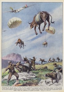 Het vee dat uit de lucht valt