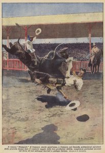 De beroemde Stampede van Calgary