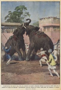 Het vreemdste duel door Achille Beltrame