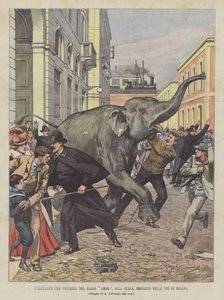 De olifant die zal optreden in het ballet Amor, in de Scala, op hol geslagen in de straten van Milaan