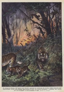 De brandende jungle