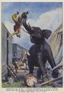 In de lucht gegooid, verpletterd en dodelijk vertrapt door een woedende olifant