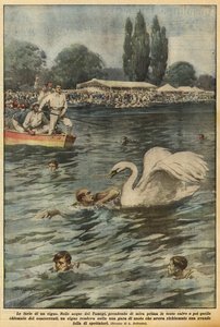 De woede van een zwaan door Achille Beltrame