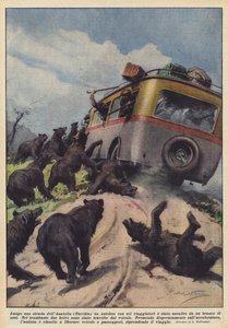 Langs een weg in Anatolië (Turkije) werd een bus met zes reizigers aangevallen door een groep beren