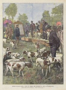 Tentoonstelling van jachthonden en veldproeven in de renbaan van S. Siro, de classificatie