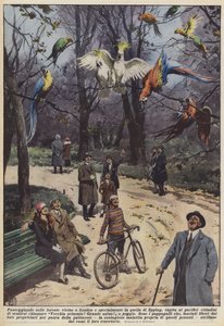 Wandelen in de bossen nabij Londen, vooral in Epping Forest, gebeurt het vaak dat... door Achille Beltrame