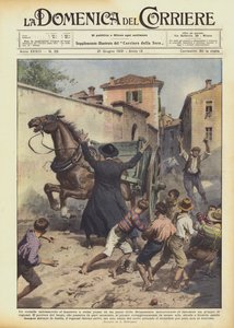 Een op hol geslagen paard rende door een dorp in Bergamo en bedreigde