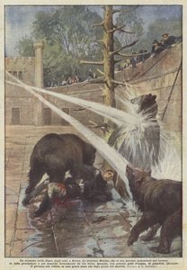 Een drama in de berenkuil in Bern