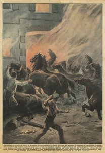 Een slachting van renpaarden