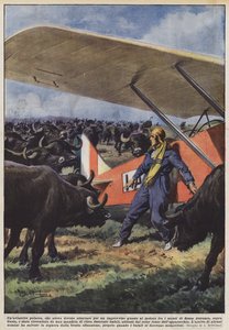 Een Poolse pilote moest een noodlanding maken door een plotselinge motorstoring in de bergen door Achille Beltrame