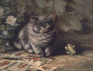 Een Portret van een kitten