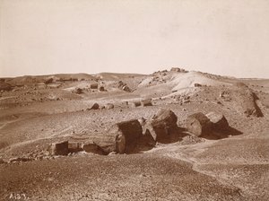 In het versteende woud (algemeen overzicht, Middle Park),c.1895-1897 (foto) door Adam Clark Vroman