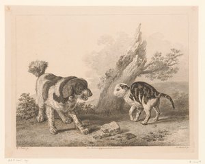 Hond en kat in vechthouding tegenover elkaar door Adam von Bartsch
