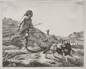 Herder die een wolf achtervolgt