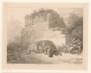 Slapende hond voor een muur (Dieren naar schilderijen van Hollandse meesters) door Adam von Bartsch