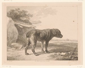 Staande hond in een landschap door Adam von Bartsch