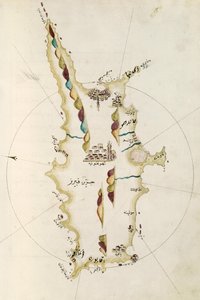 Kaart van het eiland Cyprus, illustratie uit Portolano-atlas door admiraal Piri Reis door Admiral Piri Reis