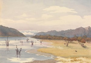 Meer van Acoleo, Chili, 11 januari 1851