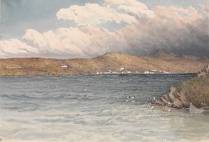 Nederzetting in Port Stanley, Falklandeilanden, mei 1849