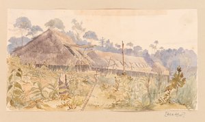 Dorp van de Stang-stam uit West-Indië, Noord-Amerika en Borneo plakboek door Admiral Sir Edward Gennys Fanshawe